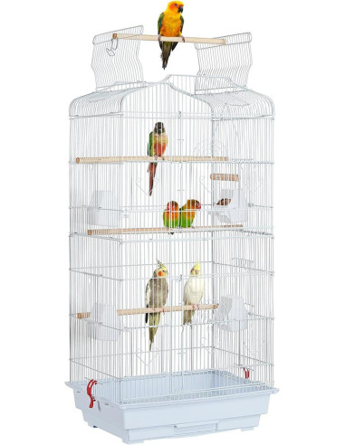 Cage oiseaux blanche canaris perruches inséparables