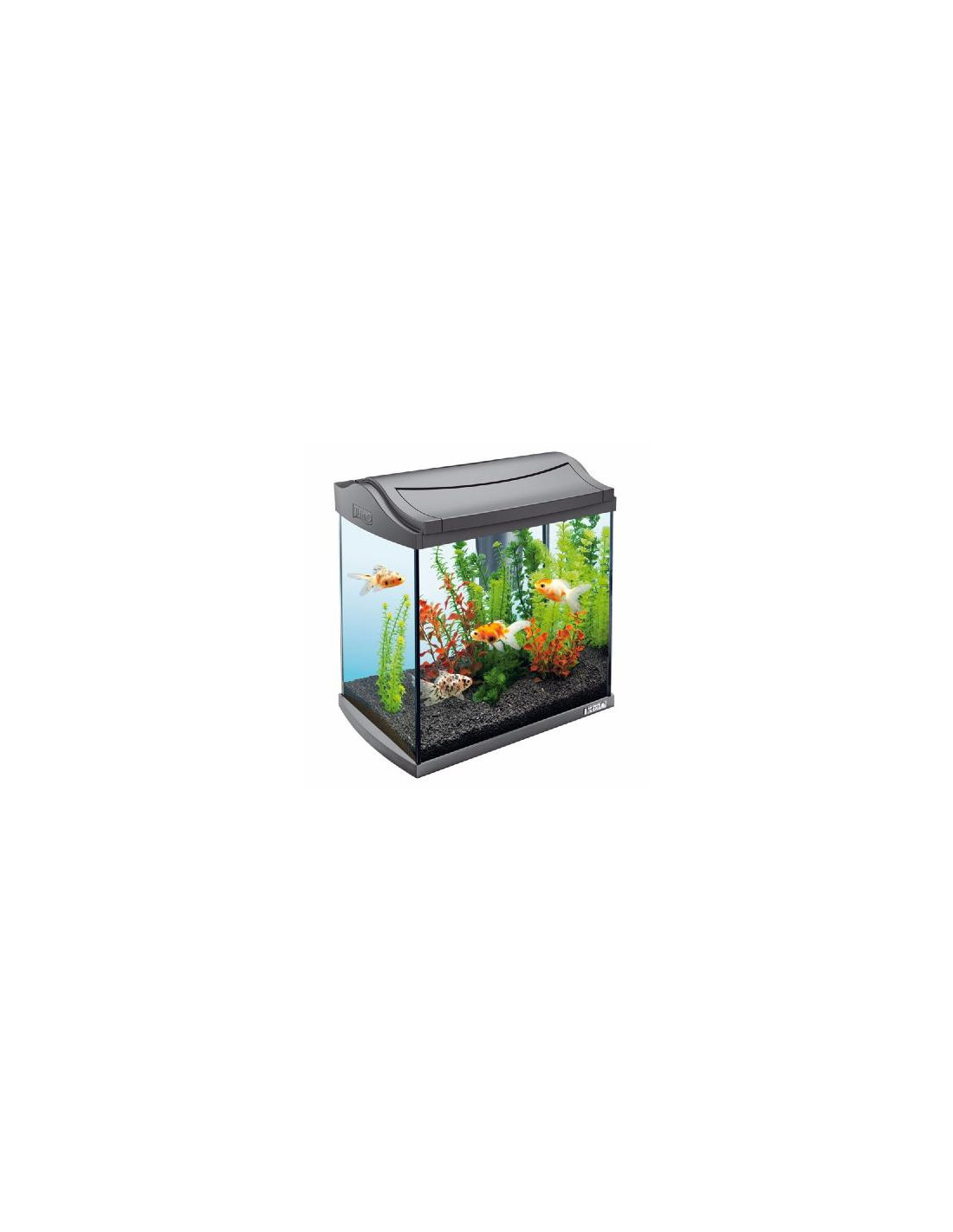 Aquarium complet 20L + filtration + pompe à air ciel et terre - Ciel & terre