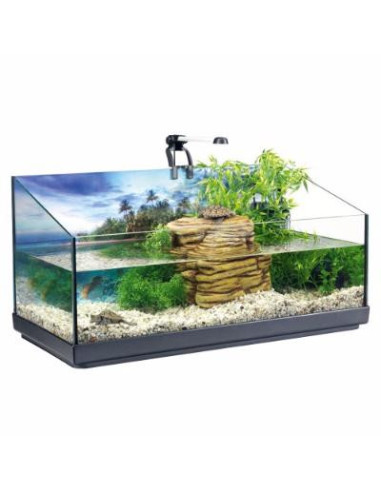 Aquaterrarium équipé tortue aquatique bac à tortue d'eau habitat tortue aquatique