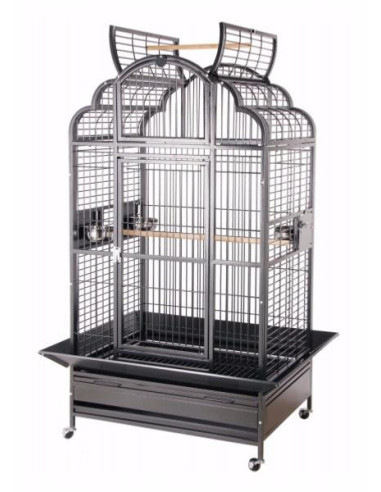 Cage perroquet Koki cielterre-commece