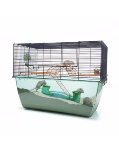 Cage gerbille et octodon cage hamster cage rongeur cage octodon cage rongeur XL cielterre-commerce