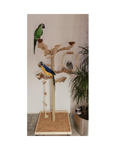 Perroquet de table perchoir en bois support de jeu pour oiseaux