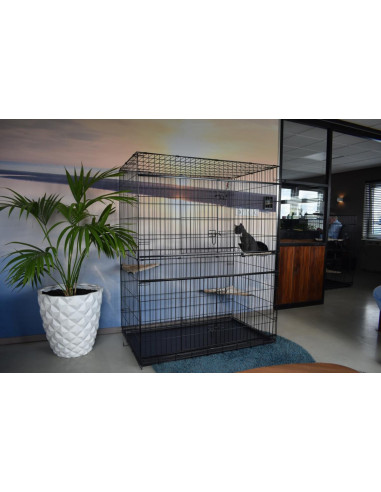 Cage chat 160 cm cage intérieur chat cage métal chat cage avec plateforme cage chaton