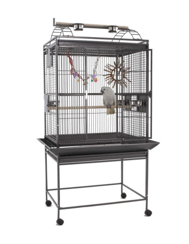 Cage perroquet Tilo cage gris gabon amazone youyou