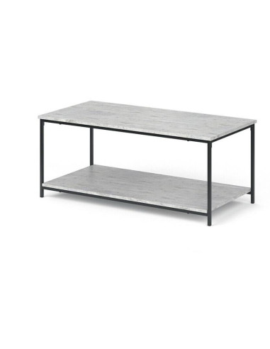 Table basse Loft gris béton table basse industrielle