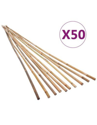 Lot 50 pcs piquets en bambou 150 cm cielterre-commerce