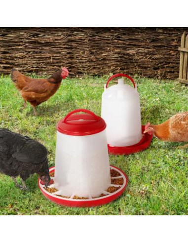 Avantages d'une mangeoire anti-nuisible pour poules