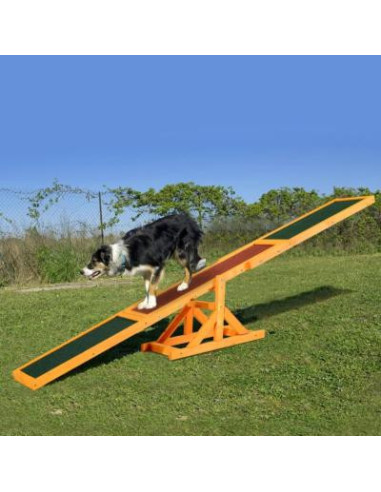 Rampe agilité pour chien balancelle chien agility chien