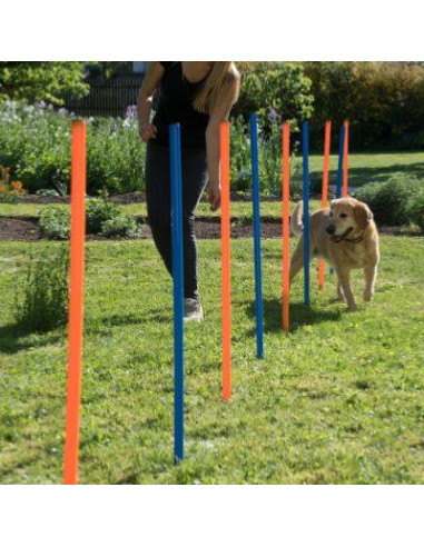 Kvittra Ensemble d'équipement de dressage d'agilité pour chien, parcours d'agilité  pour chien, kit de jeu avec 2 sauts pour chien, haie, aveugle et tunnel  standard et poteaux de tissage pour jeux 