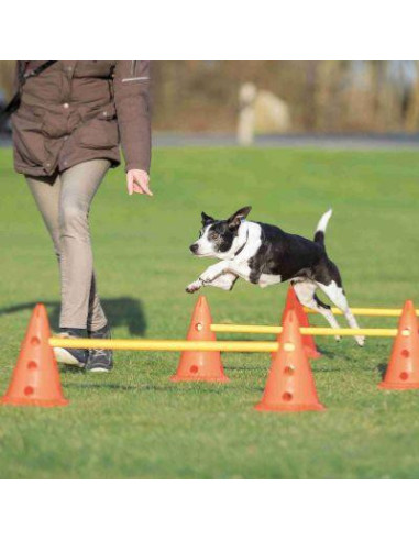 Set obstacle agility parcours chien d'agilité 6 pylônes
