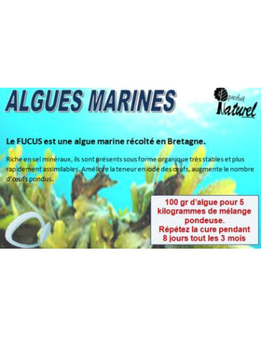 Algues Bretonnes cielterre-commerce 25 kg