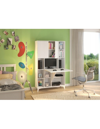 Secrétaire design blanc mat Bureau pratique spacieux Secrétaire meuble tendance avec placard