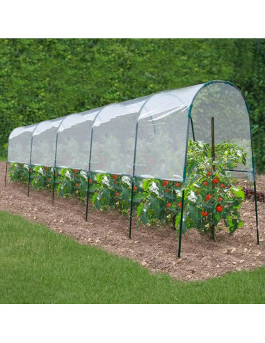 Serre de jardin 6x1,20x1,70m pour Tomate Serre plantation Serre tomate