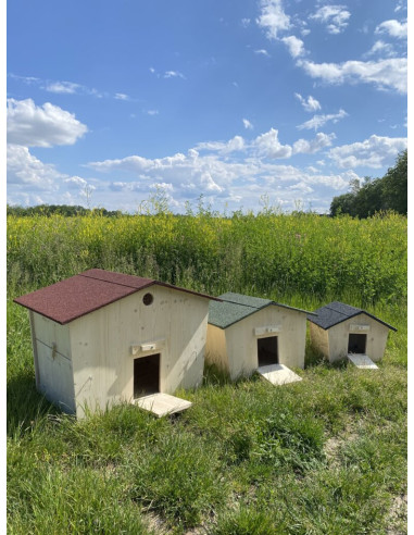 Cabane à Lapin en Epicéa Maison Hérisson (3 Tailles)